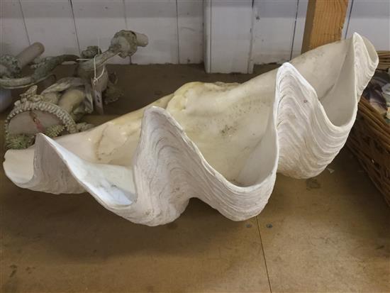 Large clam shell